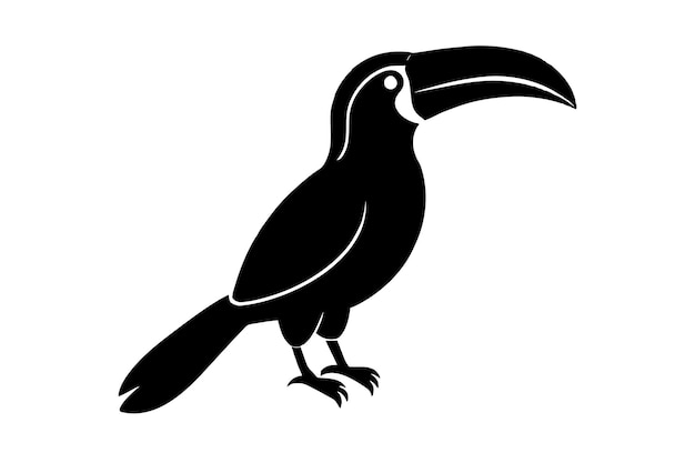 un dibujo en blanco y negro de un pájaro con un pico largo