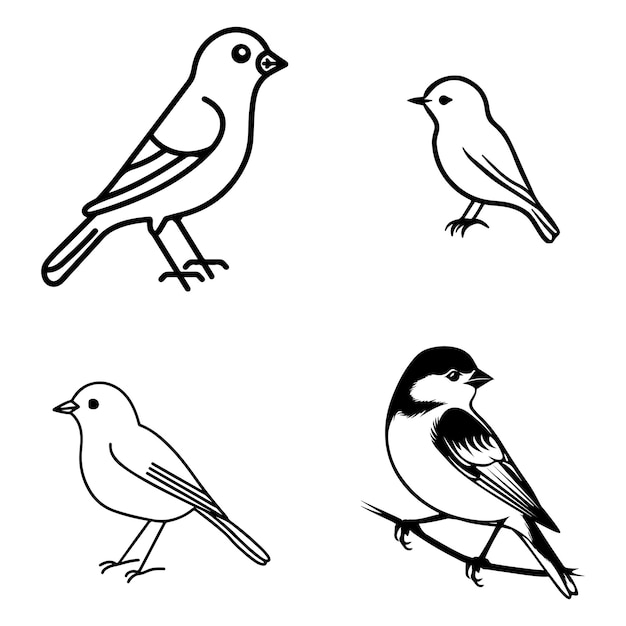un dibujo en blanco y negro de pájaros y aves
