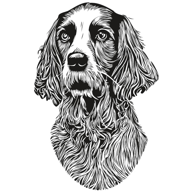 Un dibujo en blanco y negro de un perro con una nariz larga y una nariz larga.