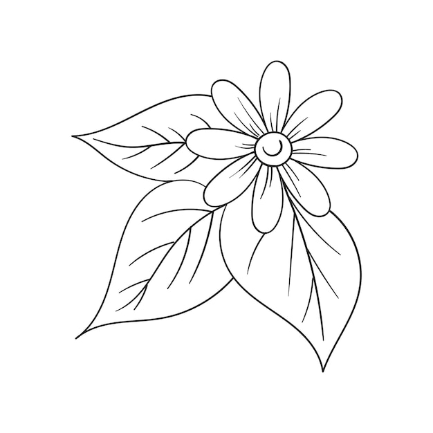 Un dibujo en blanco y negro de una planta de albahaca.