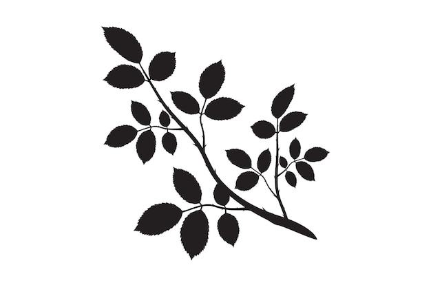 un dibujo en blanco y negro de una planta con hojas y flores