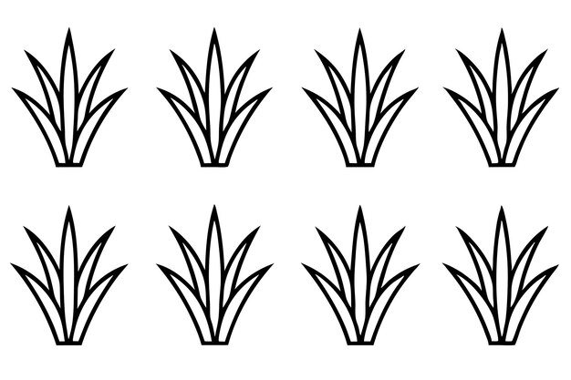 un dibujo en blanco y negro de una planta sobre un fondo blanco