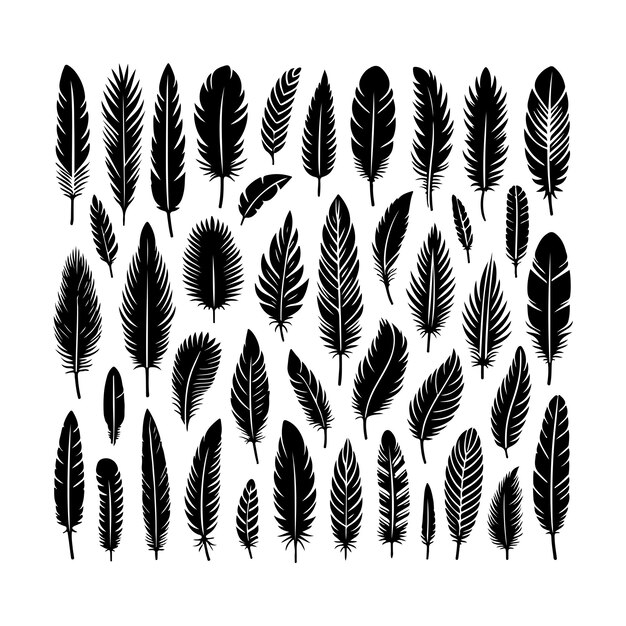 un dibujo en blanco y negro de una pluma emplumada sobre un fondo blanco