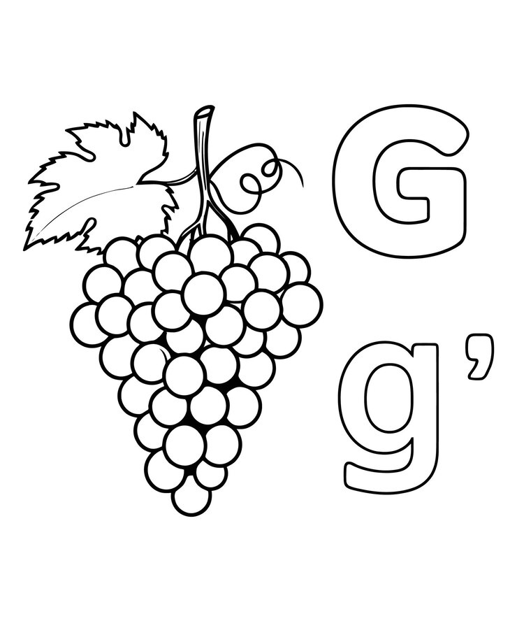 Vector un dibujo en blanco y negro de un racimo de uvas con un g g en él