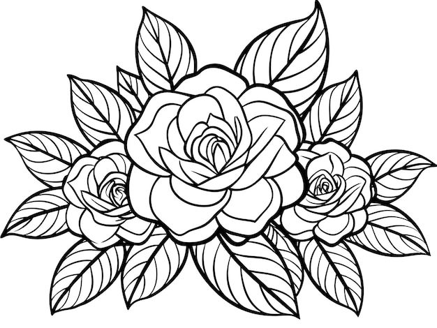 un dibujo en blanco y negro de rosas con hojas en un fondo blanco