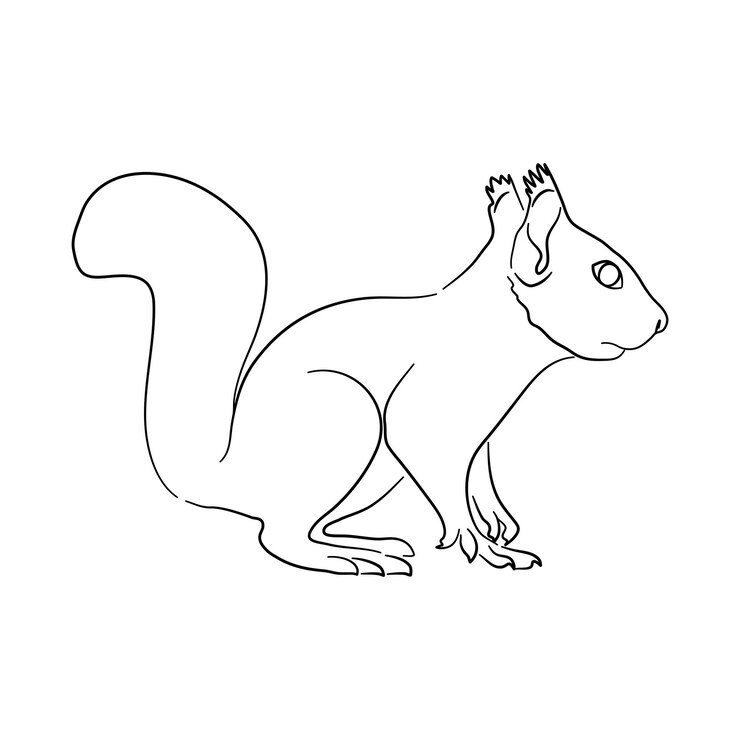 Vector dibujo de boceto de una ardilla aislada en un fondo blanco ilustración vectorial