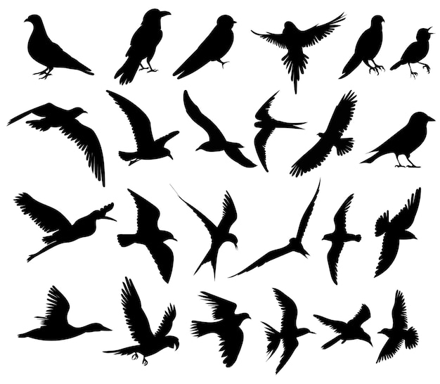 Dibujo de boceto de avestruz en una línea continua, vector