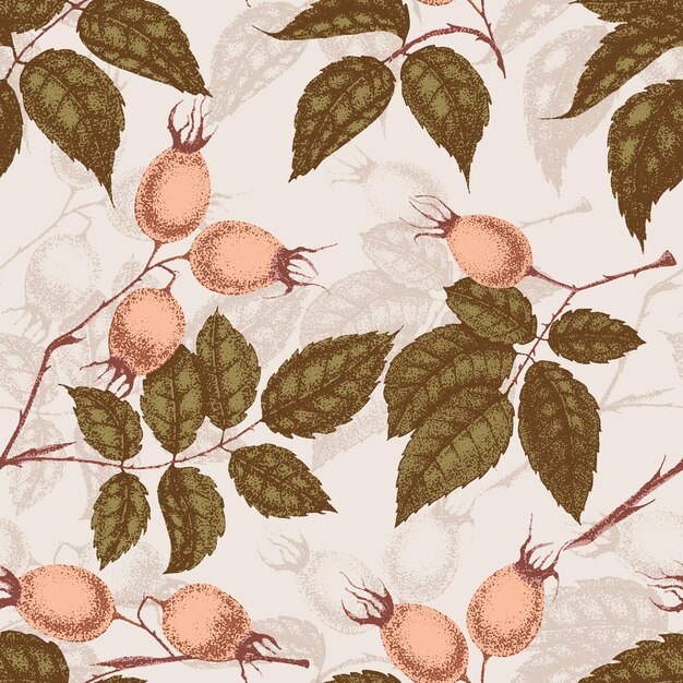 Dibujo y boceto de flores de rosa silvestre con puntilismo Patrón de rama vintage con frutos y hojas de rosa rosa