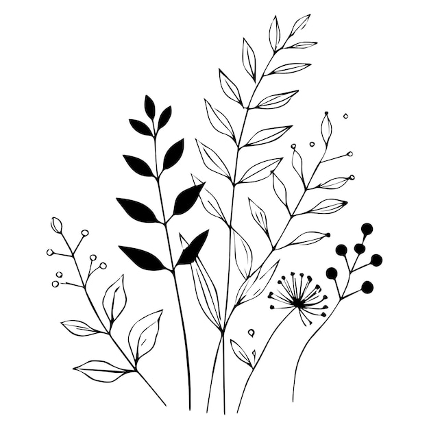 Dibujo de boceto gráfico botánico mínimo