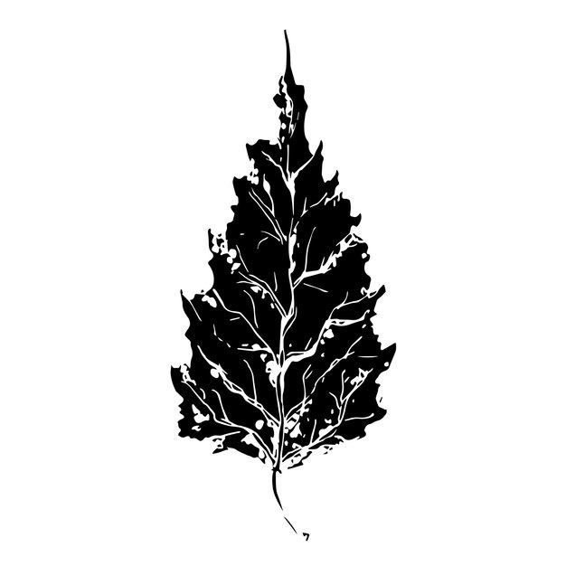 Dibujo de boceto de una hoja de abedul en contorno blanco y negro Combinación vintage de hoja de Abedul