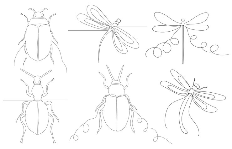 Vector dibujo de boceto de insecto libélula escarabajo por un vector de línea continua aislado