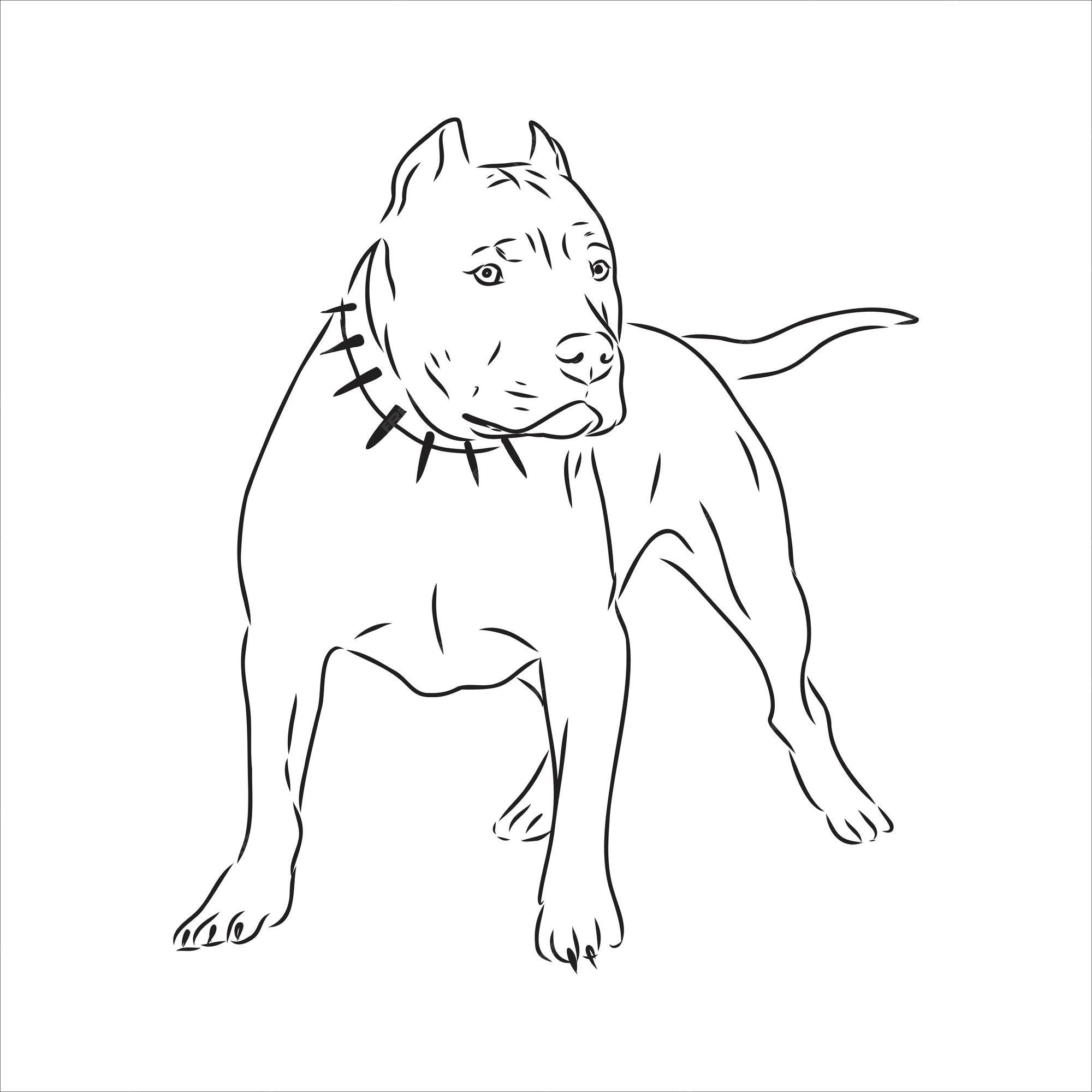Dibujo de boceto vectorial pitbull ladrando pit bull terrier perro vector | Vector Premium Dibujo de boceto vectorial pitbull ladrando pit bull terrier perro vector | Vector Premium