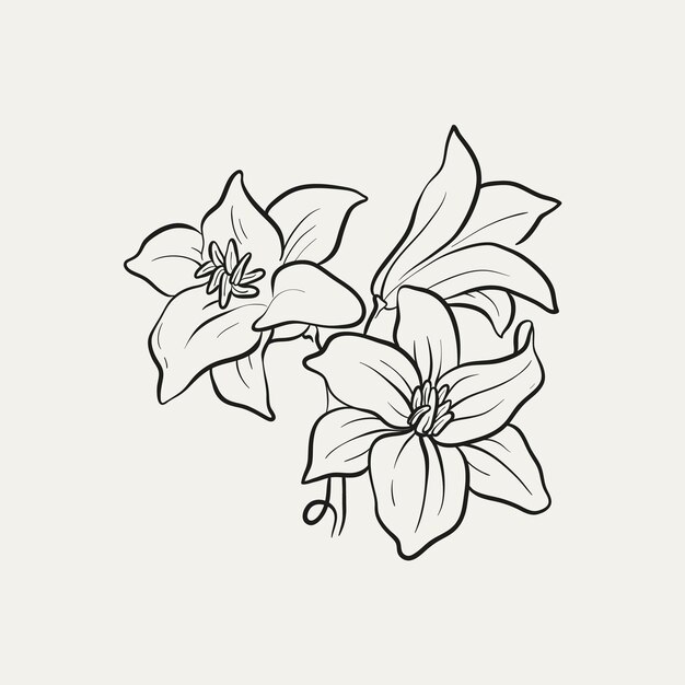 Dibujo botánico Logotipo de planta mínima Dibujo de boceto gráfico botánico Prado verde