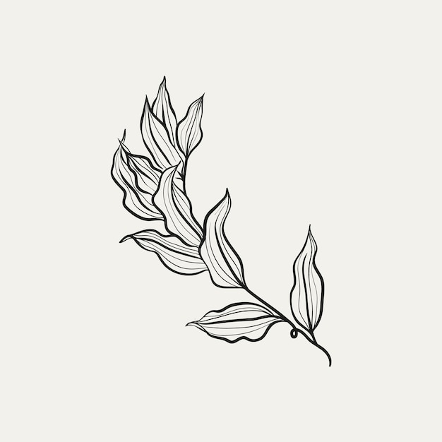 Dibujo botánico Logotipo de planta mínima Dibujo de boceto gráfico botánico Prado verde