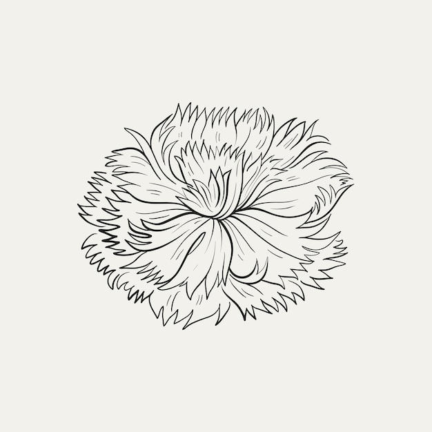 Dibujo botánico Logotipo de planta mínima Dibujo de boceto gráfico botánico Prado verde