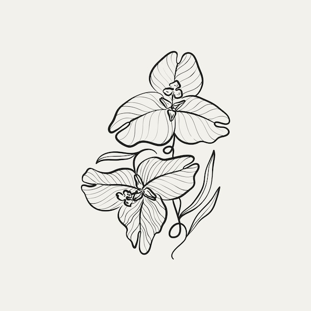 Dibujo botánico Logotipo de planta mínima Dibujo de boceto gráfico botánico Prado verde