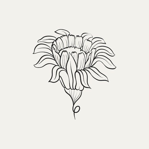 Dibujo botánico Logotipo de planta mínima Dibujo de boceto gráfico botánico Prado verde