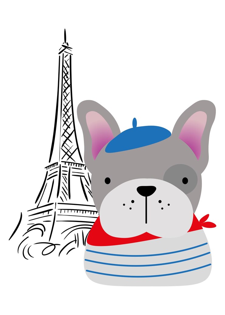Vector dibujo de bulldog francés en parís