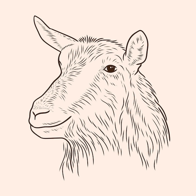 Dibujo de una cabeza de cabra en el estilo de dibujo de líneas