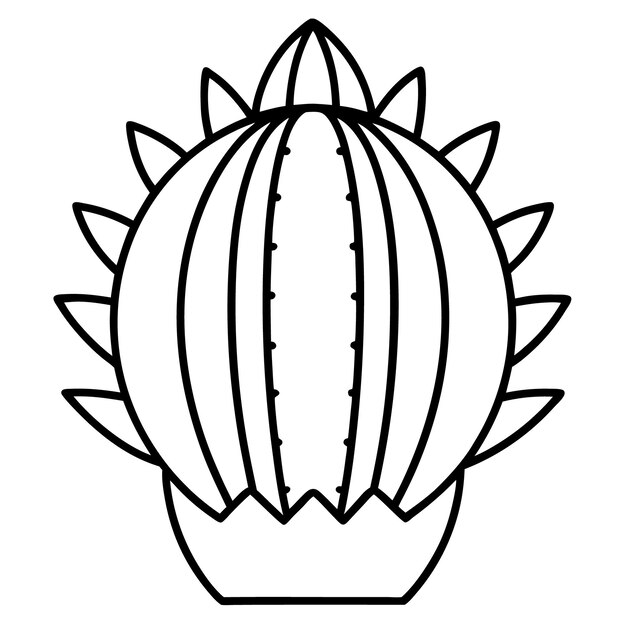 un dibujo de un cactus con un fondo blanco que dice cactus
