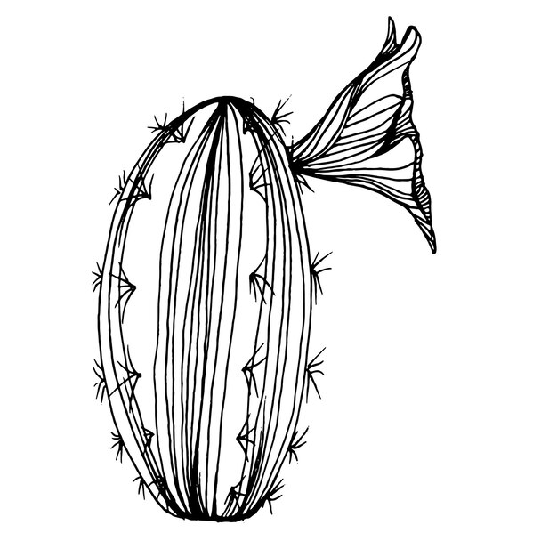 Dibujo de cactus grabado vintage en blanco y negro