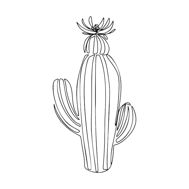 Vector dibujo de cactus de una línea ilustración moderna continua