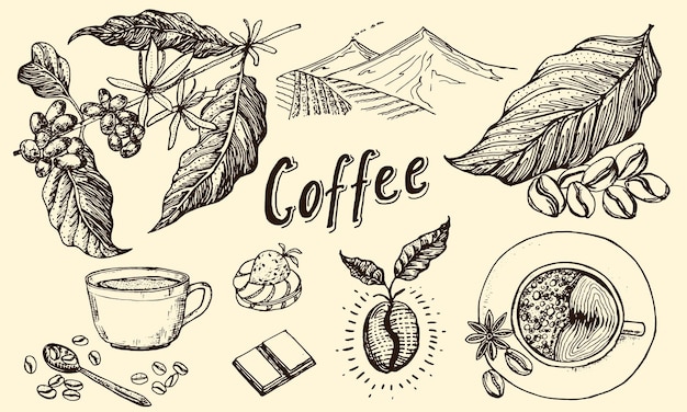 Un dibujo de café y una imagen de una piña.