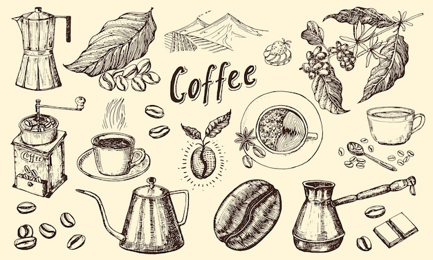 Un dibujo de café y una imagen de una taza de café.