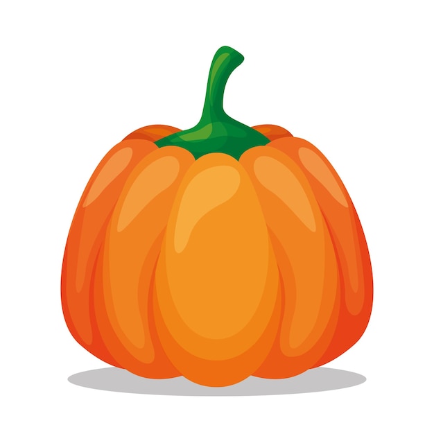 Dibujo de calabaza aislado sobre fondo blanco. ilustración vectorial