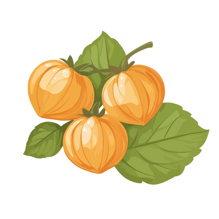 Vector un dibujo de una calabaza con hojas verdes y una hoja verde