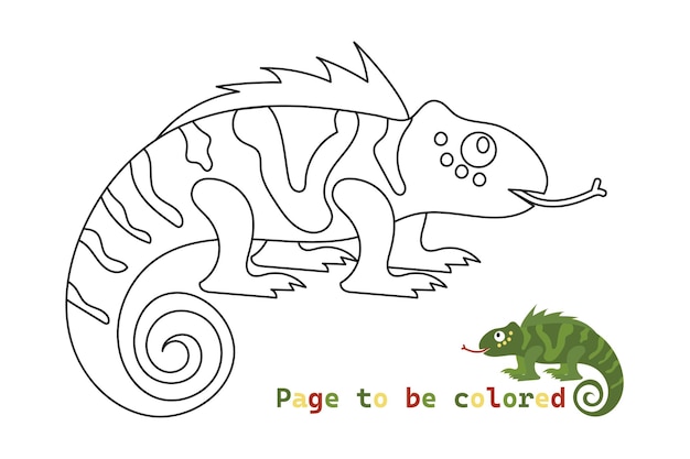 Dibujo de camaleón para colorear para niños