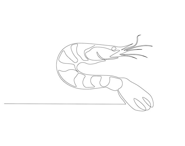 un dibujo de un camarón con una línea dibujada en él