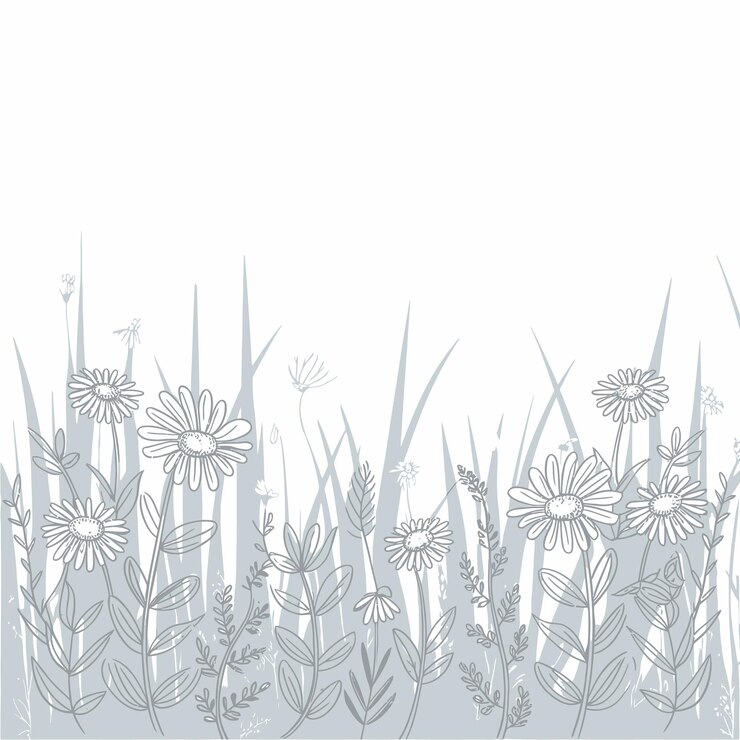 Vector un dibujo de un campo de margaritas con un fondo blanco