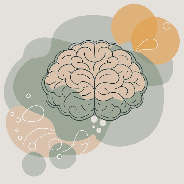 Un dibujo de un cerebro con las palabras quot cerebro quot en él