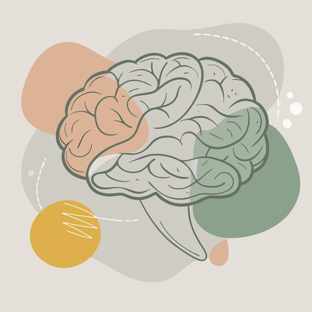 un dibujo de un cerebro con las palabras cerebro en él