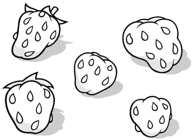 Dibujo de cinco fresas con semillas