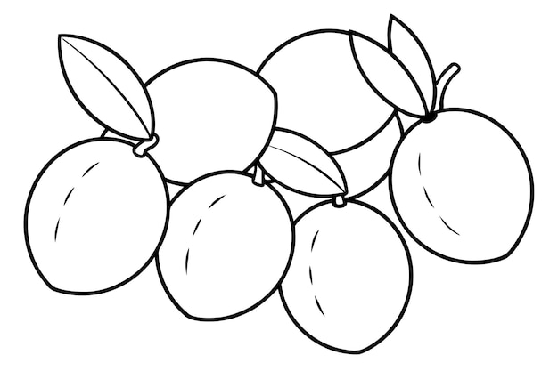 un dibujo de ciruelas con una hoja en él