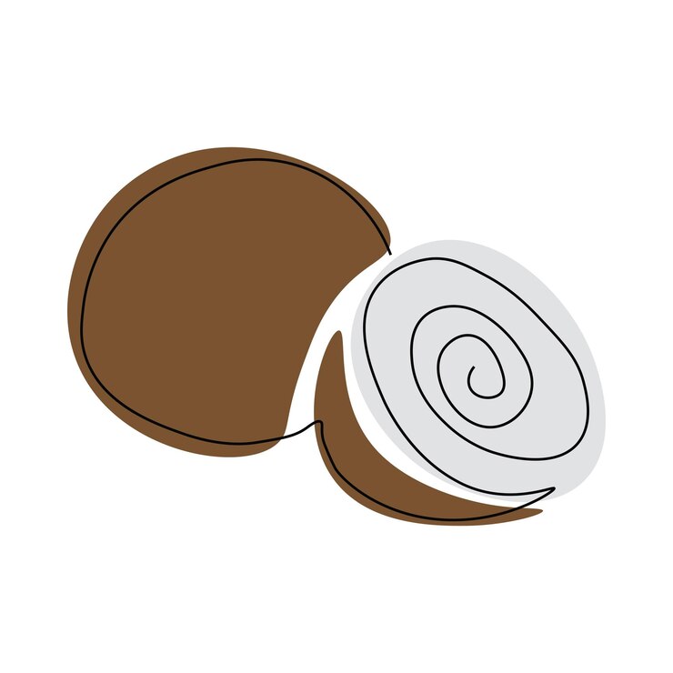 Vector dibujo de coco dibujado con una línea continua.