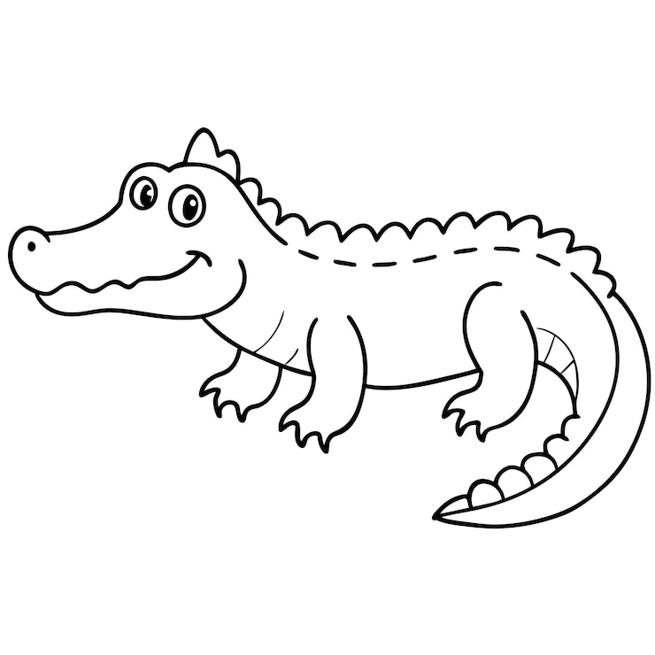 Vector un dibujo de un cocodrilo con un fondo blanco que dice "cocodrilo"