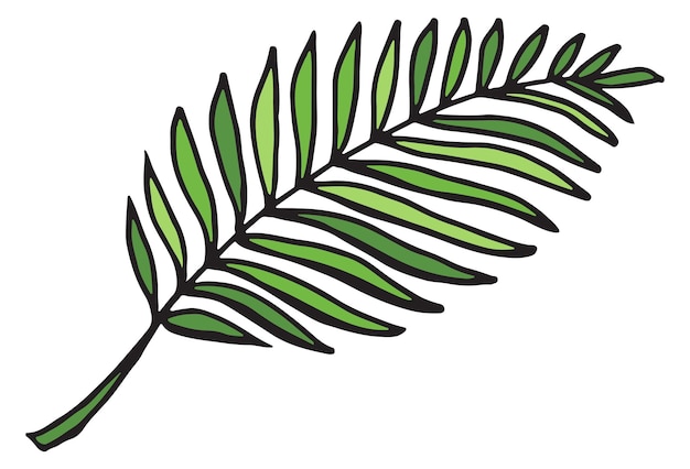 El dibujo de color de la hoja de la palma La hoja del árbol tropical