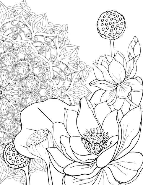 Dibujo para colorear para adultos mandala y hermosas flores de loto.