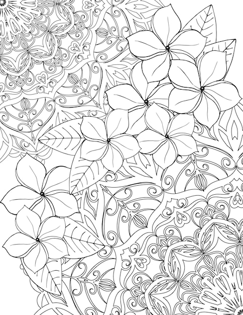 Vector dibujo para colorear para adultos mandala y hermosas flores.