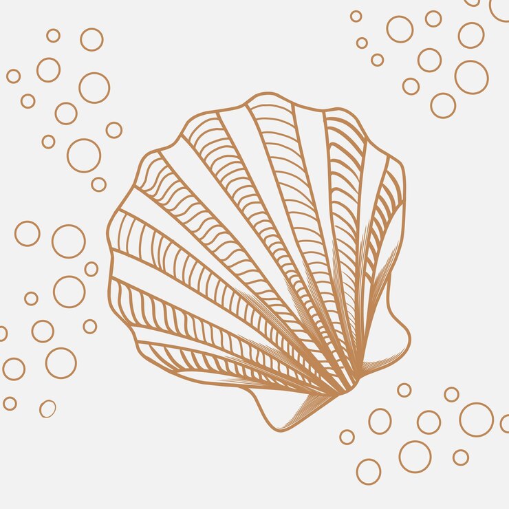 un dibujo de una concha de mar con círculos dorados y blancos
