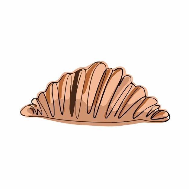 un dibujo de una concha de mar con una concha marrón en la parte inferior
