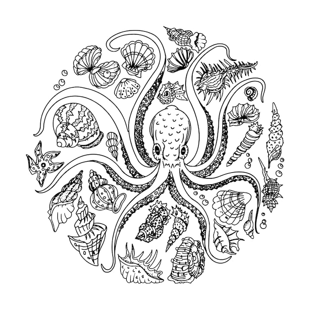 un dibujo de una concha de mar y conchas de mar