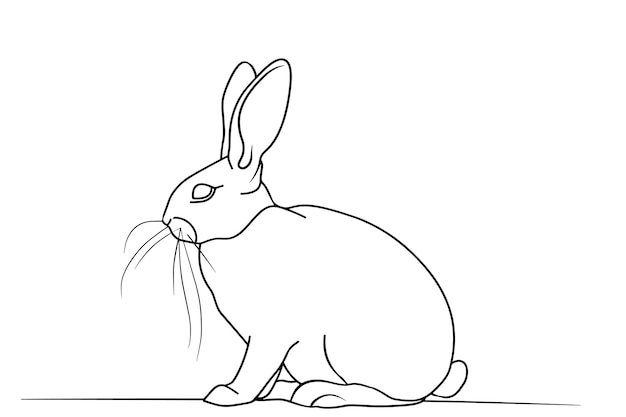 un dibujo de un conejo con una cola larga