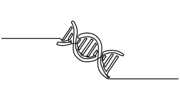 Vector un dibujo continuo de una línea de adn símbolo de estructura lineal del genoma un dibujo de una línea continua