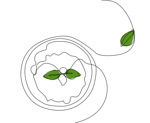 Dibujo continuo de una línea de botellas con aceite o miel o jugo de limón o lima para fregar y