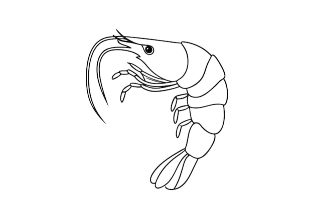 Dibujo continuo en una línea de un camarón Diseño minimalista elegante