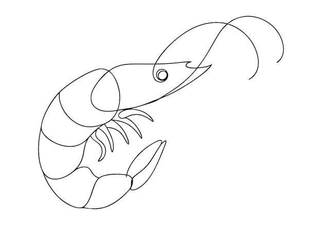 Dibujo continuo en una línea de un camarón Diseño minimalista elegante